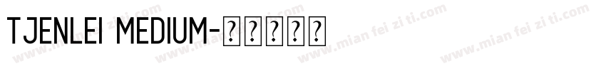 Tjenlei medium字体转换